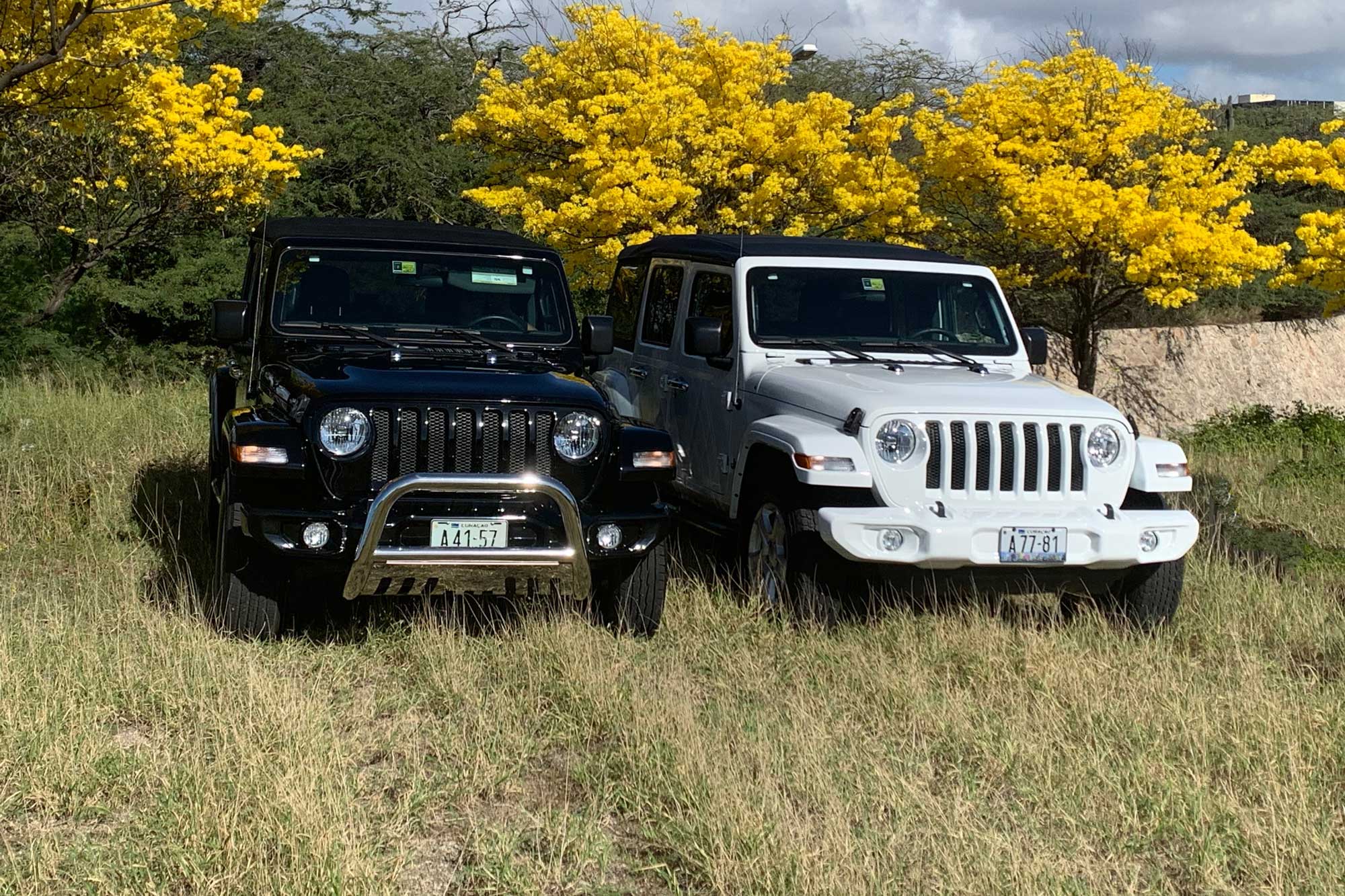 Move It Jeep experience on Curacao