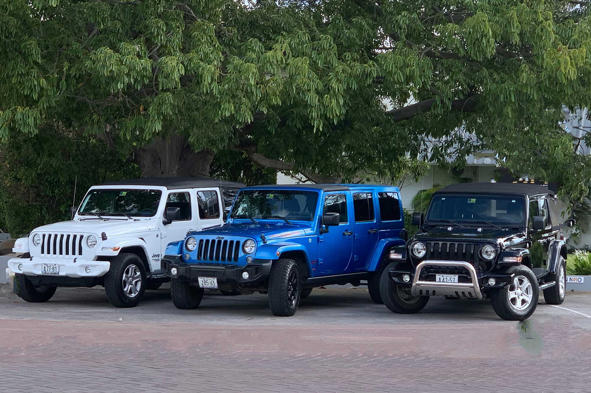 Move It Wrangler lineup on Curacao